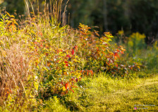 Fresh-Air-Trail-Run-09-Sep-25-32