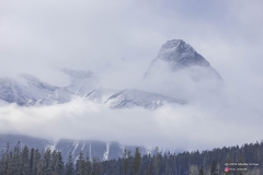 2026-Biathlon-Nationals-Single-Mixed-Relay-82