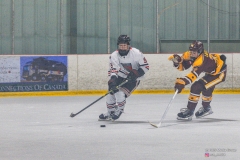 Game-15-Duluth-East-Greyhounds-vs-Timmins-Majors-50 Game-15-Duluth-East-Greyhounds-vs-Timmins-Majors-50