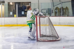Game-16-TBay-Kings-vs-Edina-Hornets-1 Game-16-TBay-Kings-vs-Edina-Hornets-1