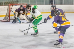 Game-16-TBay-Kings-vs-Edina-Hornets-28 Game-16-TBay-Kings-vs-Edina-Hornets-28