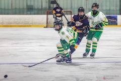 Game-16-TBay-Kings-vs-Edina-Hornets-38 Game-16-TBay-Kings-vs-Edina-Hornets-38