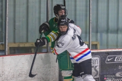 2026-Border-Battle-RHA-Nationals-vs-Edina-Hornets-13