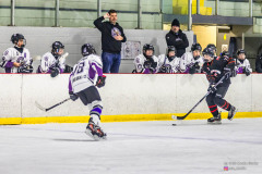 TBMHA-U15-South-End-Jr-Stars-vs-TBay-Elks-06-Dec-25-80